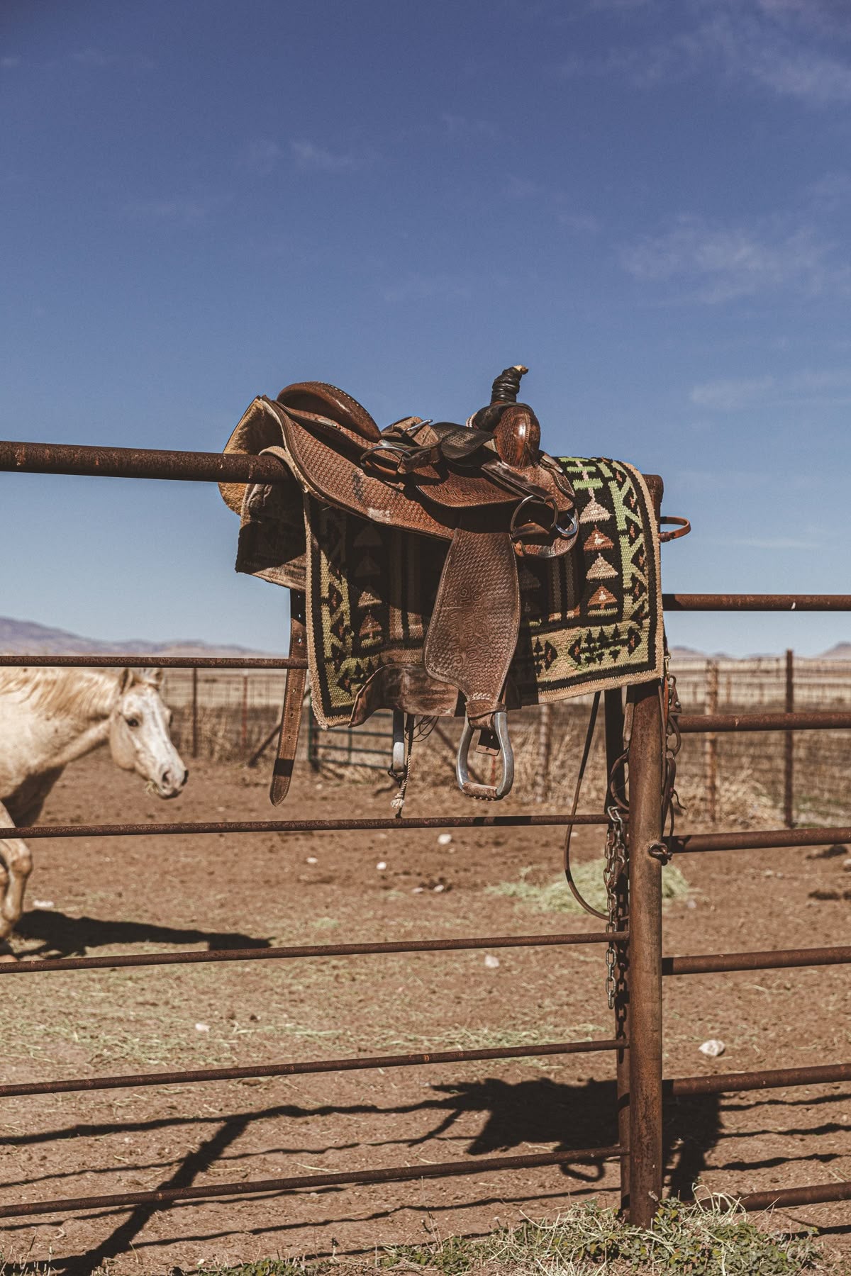 THE COWBOY WHO BUILT SOMETHING REAL