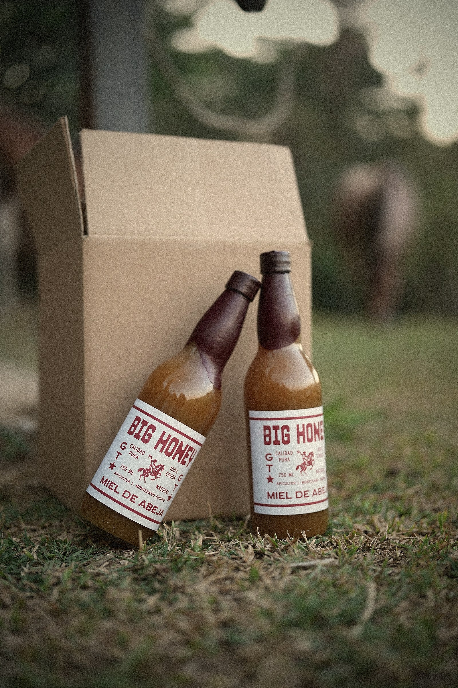 Miel Cruda — 750ml